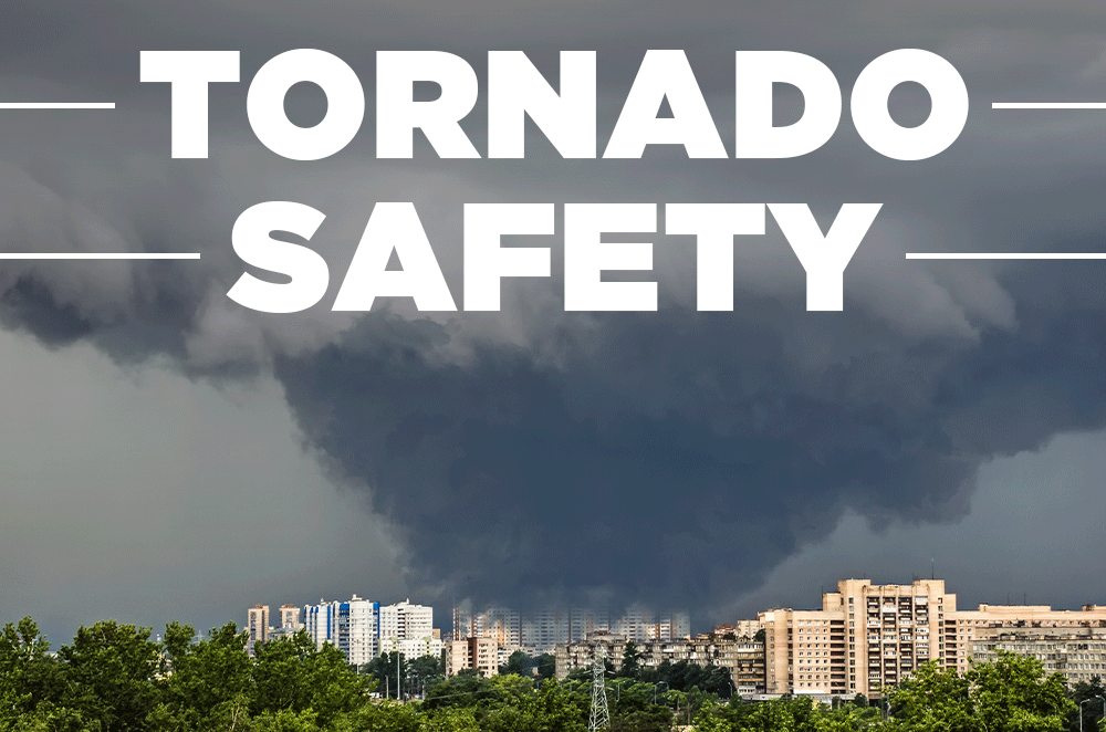 Tornado Safety for Pets